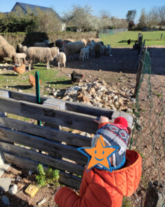 Enfant à la ferme